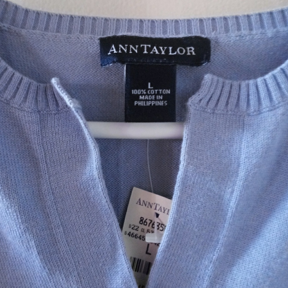 Ann Taylor Blue V-Neck Sweater L
